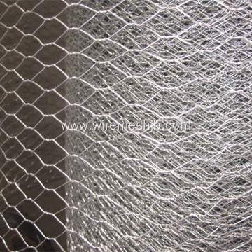 Hot dipped Galvanized Chicken Wire Mesh